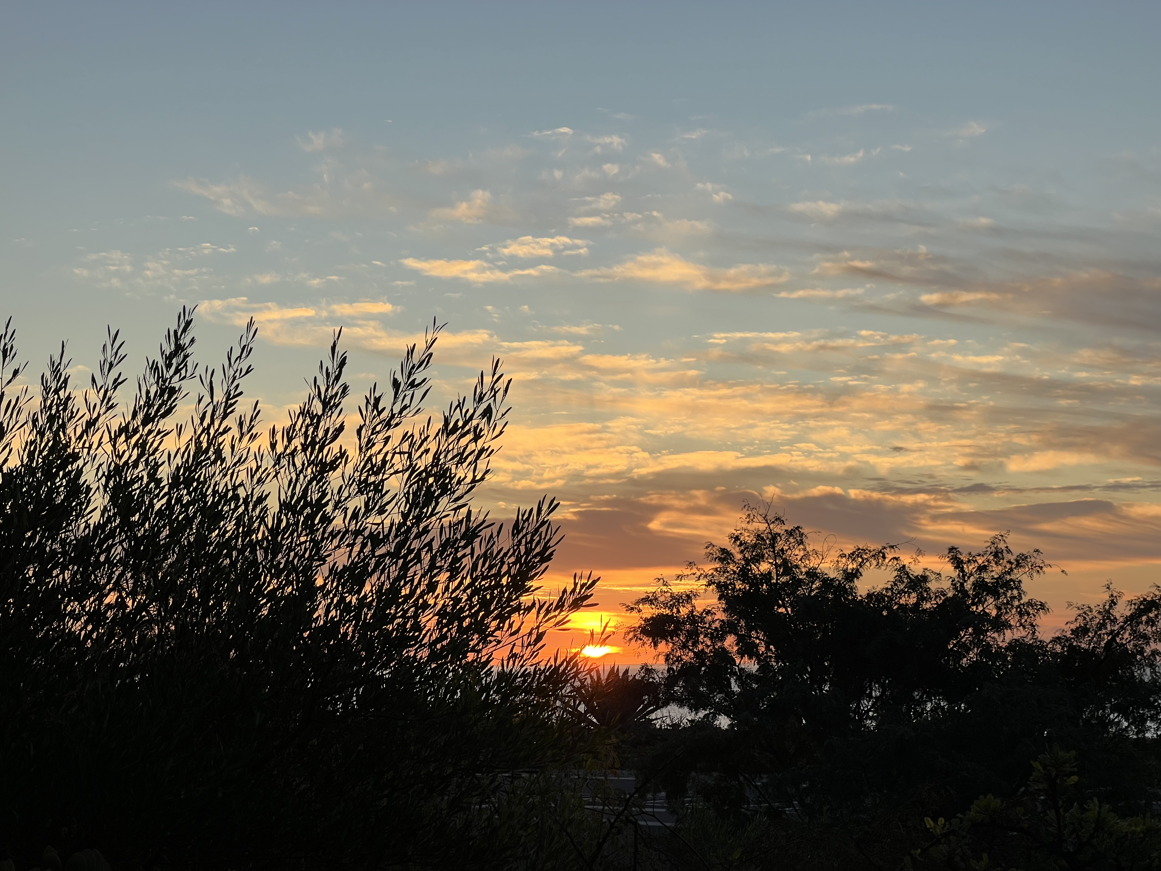 ./2024/13 - Cabo/IMG_4194.jpg